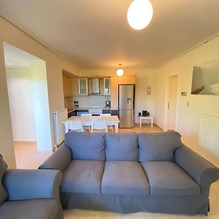 Cozy 2 Room Apartment With Garden Near Athens Air-Port Artemida  Exteriér fotografie